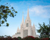 San Diego California Towering Spires