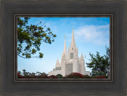 San Diego California Towering Spires