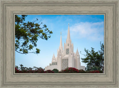 San Diego California Towering Spires