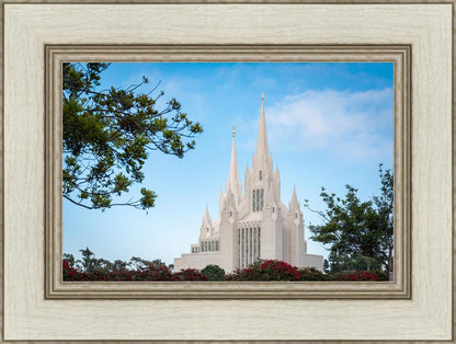 San Diego California Towering Spires