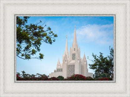 San Diego California Towering Spires