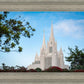 San Diego California Towering Spires