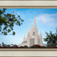 San Diego California Towering Spires