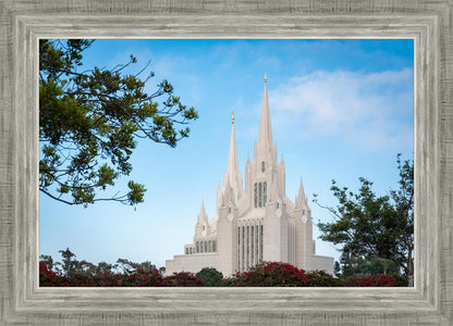 San Diego California Towering Spires