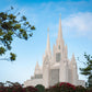 San Diego California Towering Spires