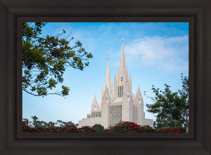San Diego California Towering Spires