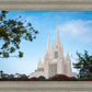 San Diego California Towering Spires
