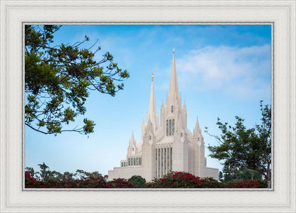 San Diego California Towering Spires