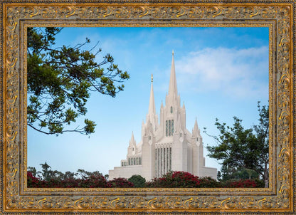 San Diego California Towering Spires