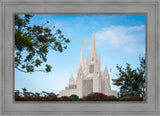 San Diego California Towering Spires