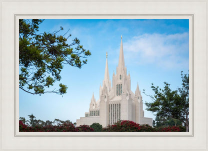 San Diego California Towering Spires