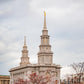 Philadelphia Freedom