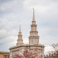 Philadelphia Freedom
