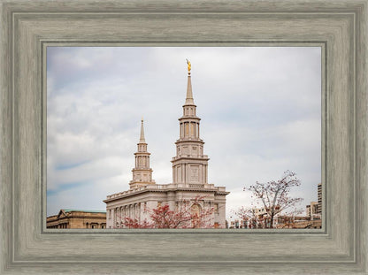 Philadelphia Freedom