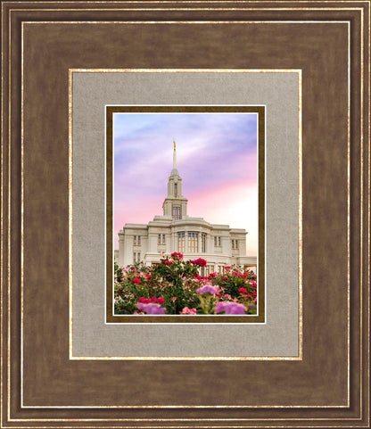 Payson Utah Tiptoe Through The Roses