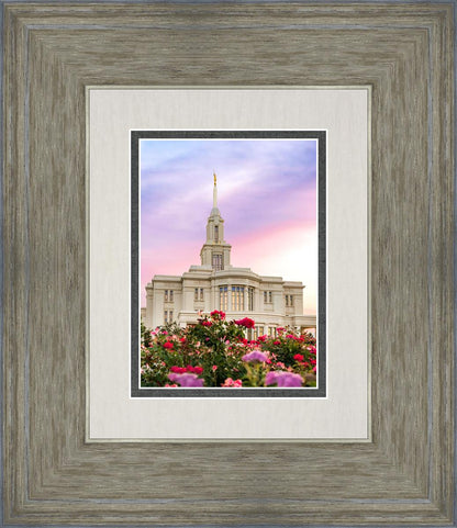 Payson Utah Tiptoe Through The Roses