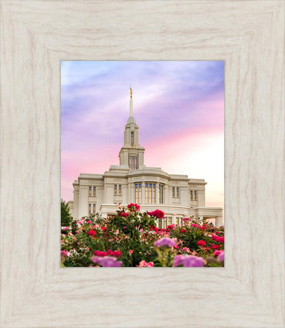 Payson Utah Tiptoe Through The Roses