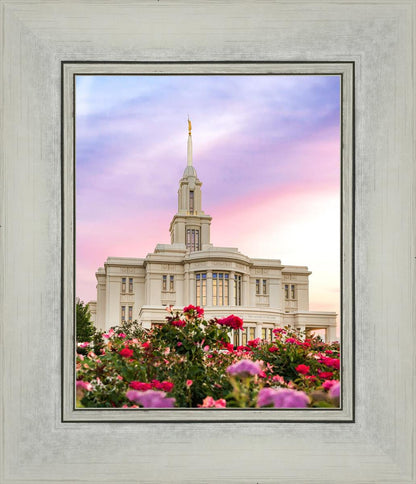 Payson Utah Tiptoe Through The Roses