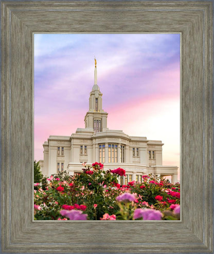 Payson Utah Tiptoe Through The Roses