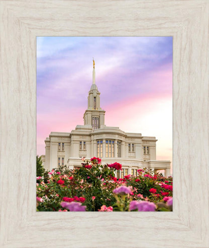 Payson Utah Tiptoe Through The Roses