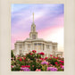 Payson Utah Tiptoe Through The Roses