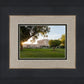 Mesa Arizona Shining On