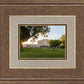 Mesa Arizona Shining On