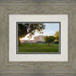 Mesa Arizona Shining On