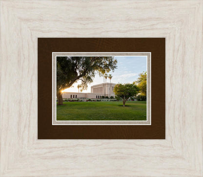 Mesa Arizona Shining On