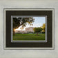 Mesa Arizona Shining On