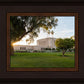 Mesa Arizona Shining On