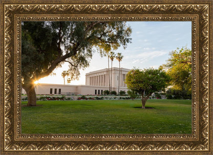 Mesa Arizona Shining On