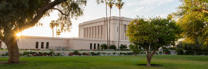 Mesa Arizona Shining On