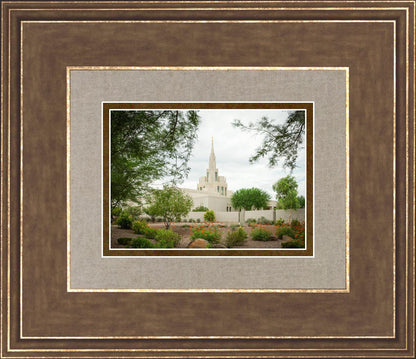 Phoenix Spring Blooms