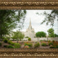 Phoenix Spring Blooms