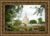 Phoenix Spring Blooms