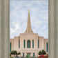 Gilbert Spring in Bloom