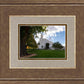 Saint George Fall Leaves