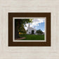 Saint George Fall Leaves