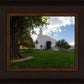 Saint George Fall Leaves
