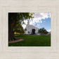 Saint George Fall Leaves