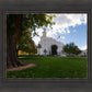 Saint George Fall Leaves