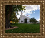 Saint George Fall Leaves