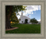 Saint George Fall Leaves