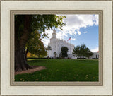 Saint George Fall Leaves