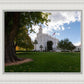 Saint George Fall Leaves