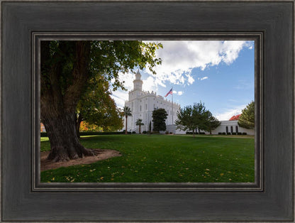 Saint George Fall Leaves