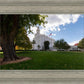 Saint George Fall Leaves