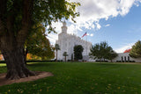 Saint George Fall Leaves