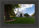 Saint George Fall Leaves